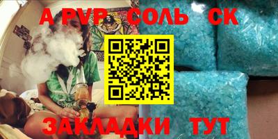 тгк Бердск