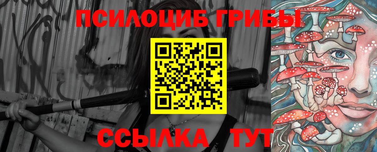 магазин продажи   Вход с VPN  Кудымкар  Псилоцибиновые грибы мухоморы 